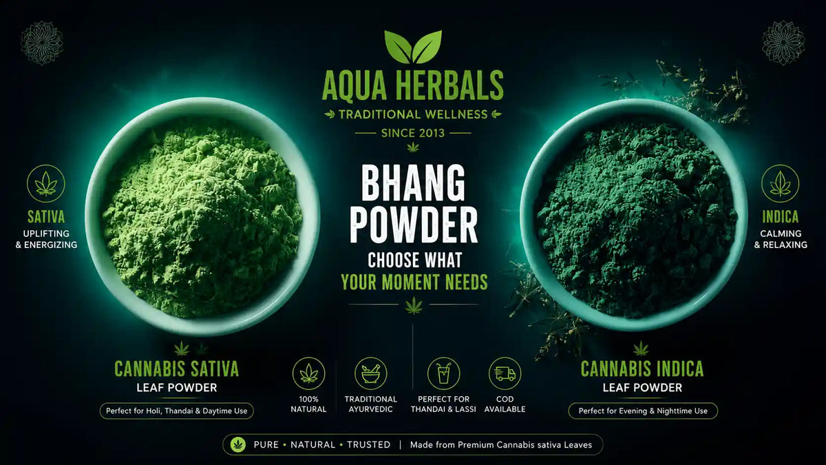 Bhang powder comparison — Cannabis sativa leaf powder (bright green,
uplifting, for Holi thandai) vs Cannabis indica leaf powder (darker green,
relaxing, for evening use), buy both online from AquaHerbals India