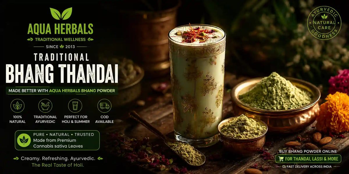 Traditional bhang thandai made with AquaHerbals bhang powder —
creamy bhang lassi in brass glass with saffron and pistachio garnish,
buy bhang powder online for Holi thandai with COD delivery across India